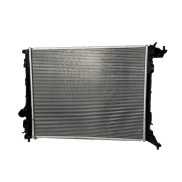 Radiateur pour Renault Megane (15-) Numéro OEM 214108607R