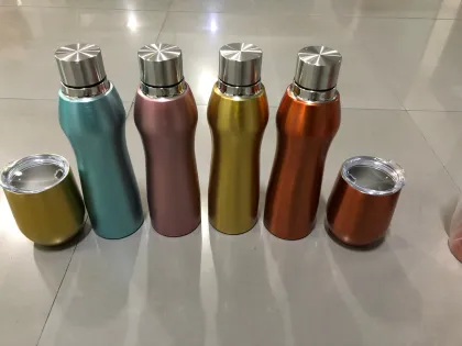 500ml Double Wall Insulated Yogo Water Bottle