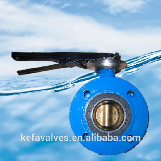 Butterfly Valve Manufacturer of double flanged butterfly valve lever operated