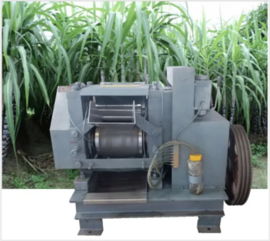 commercial stainless steel mini sugarcane extractor