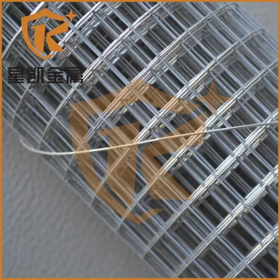 2x2 galvanized welded wire mesh panel