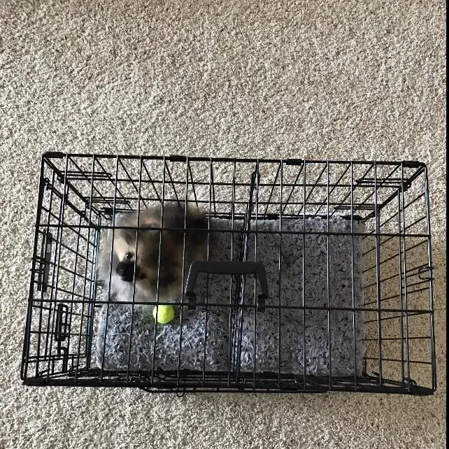 Collapsible Double Doors 18 Inch Tray Dog Crate for Pet Traveler