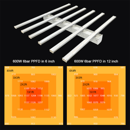 5000K 600W Indoor Led Plant Grow Lights