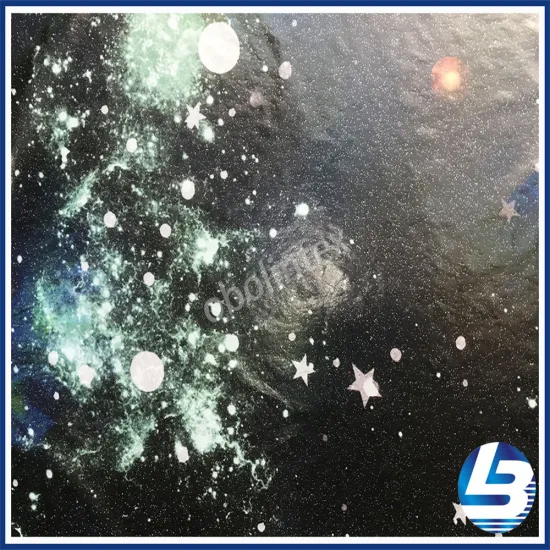 OBL20-944 Nylon Foil Print Fabric For Down Coat