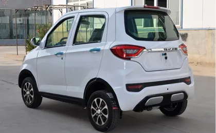 Mini Gasoline Car 250CC
