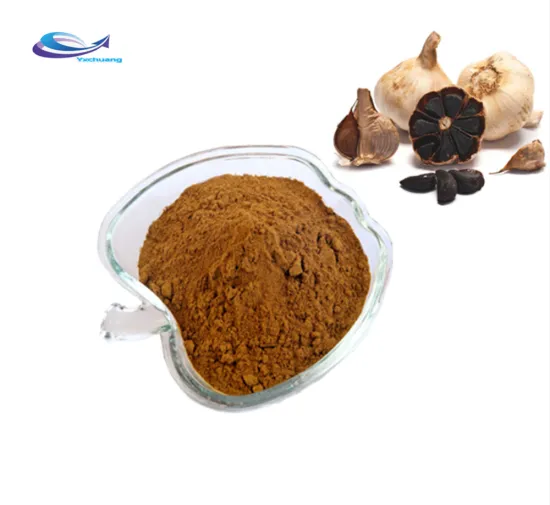 Improve immunity Black Garlic Powder 10:1