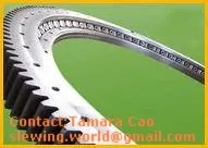 Slewing Bearings