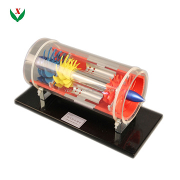Turbojet Engine Gas Turbine Model Model School Fisica Attrezzatura didattica