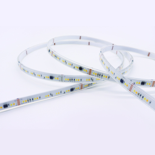 Neues Programm DMX512 CCT adressierbar 2835 LED Pixel Tape Light IP68 DMX Strip LED -Leuchten