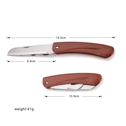 Stainless Steel Foldable Multifunctional Fruit Knife
