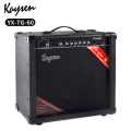 Kaysen 60W Gitarren -Audio -Lautsprecher