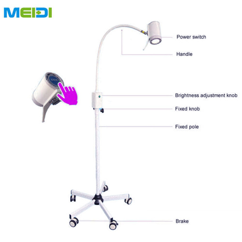 Flexible Gooseneck Exam Lamp: Mobile Medical Lighting