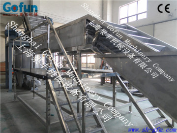 Fresh Vegetable and Fruit Washing And Sorting Machinery manufactured in shanghai gofun