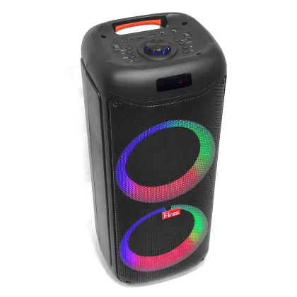 Big Outdoor DJ Speakers with Disco Lights for Karaoke