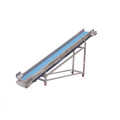 Belt Conveyor for vegetable processing line