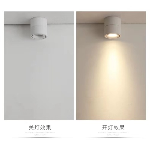 Track de détail Light Cob 35W 40W Spotlight