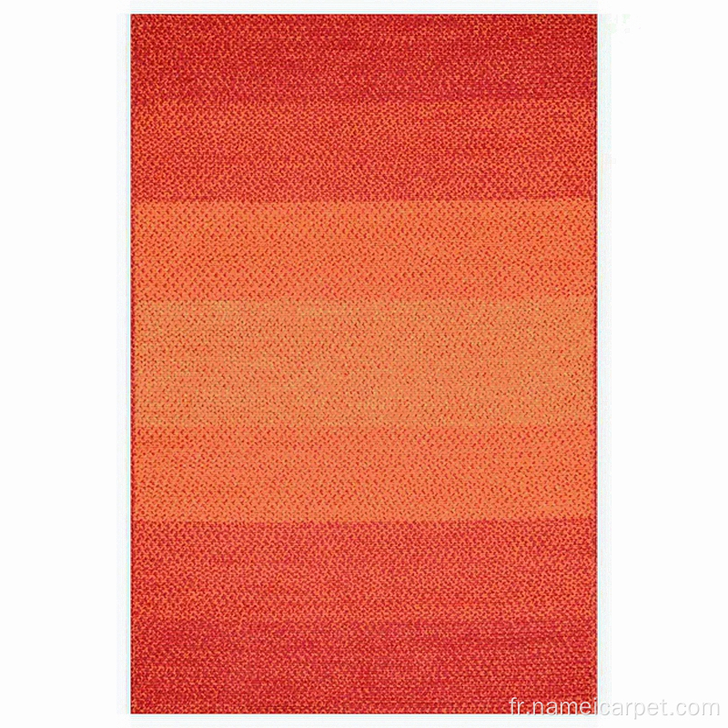 Tapis de tapis intérieur / extérieur en polypropylène