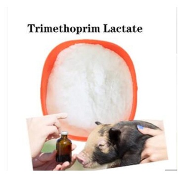 Buy online CAS 23256-42-0 trimethoprim lactate for sale