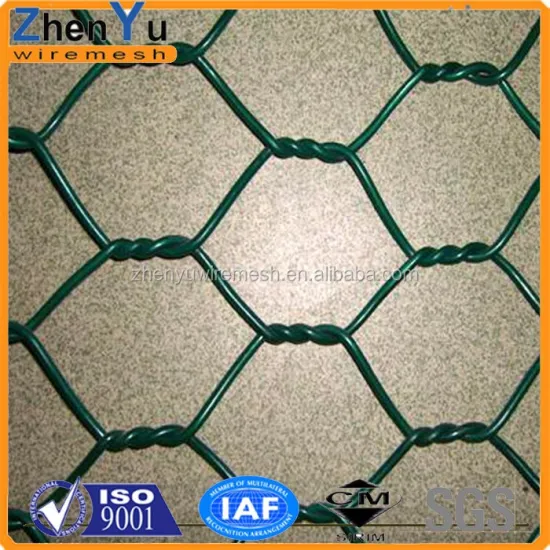 Galvanized Hexagonal Wire Netting & Plastic Coated Chicken Wire Mesh