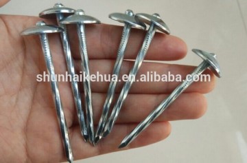 65*4mm Galvanized Umbrella head Roofing Nail with washer