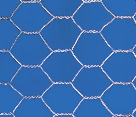 Hot-Dipped Galvanized Hexagonal Wire Mesh