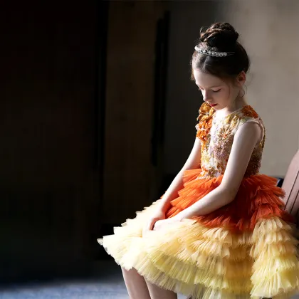 Embroidered Pearl Skirt Dress for Girls