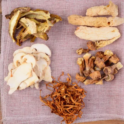 Wholesale Tricholoma matsutake, yellow head fungus, boletus, morel, razor clam