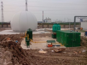 agricultural waste biogas generator