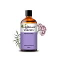 Naturaleza Oil Valerian Oil Valerian Raíz Difusor Aceite esencial Fragancia Aceite para vela