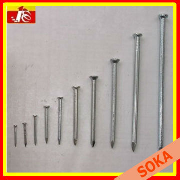 galvanized steel grooved shank concrete nail Factory