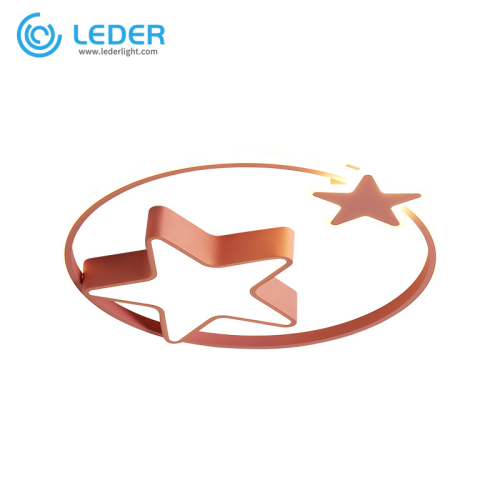 Đèn trần hiện đại LEDER Led