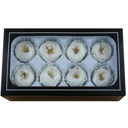 4-5 cm Real Touch Dried David Austin Eternelle Roses for Christmas and Valentine's Day Decoration