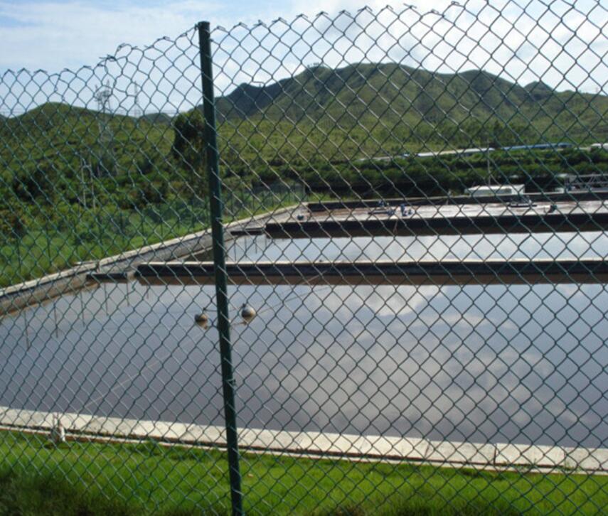 Steel Mesh