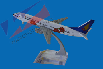 Metal Model (B737-800)