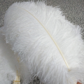 Bulk White Ostrich Feather For Wedding Decoration Design