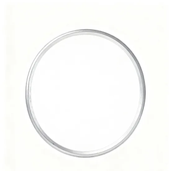 Contemporary LED Ceiling Lamp for Homes