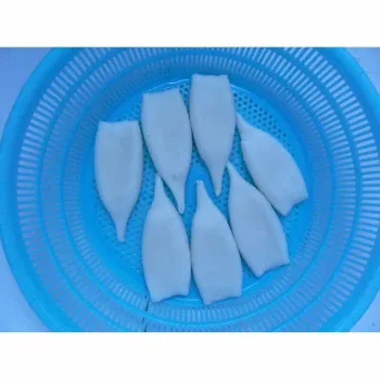 Factory direct price high quality frozen gigas squid tube frozen seafood