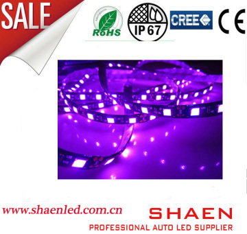 2014 New 5050SMD LED Strip Light Wholesale