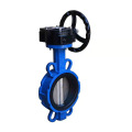 DN50-DN300 Metal Metal Geor Gear Gear Butterfly Valve