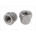 Stainless Steel Acorn Hex Cap Nuts Locknuts