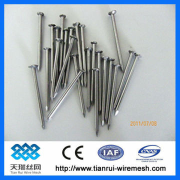 Bright Common Iron Nails (Manufacturer)