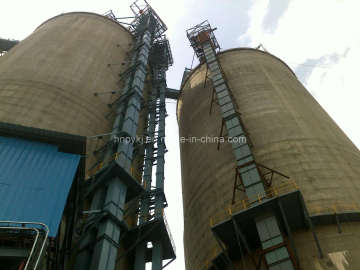 Specialized Stainless Grain Bucket Elevator Conveyor (TDTG)
