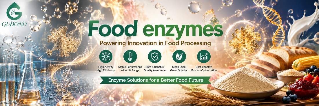 Food enzymes