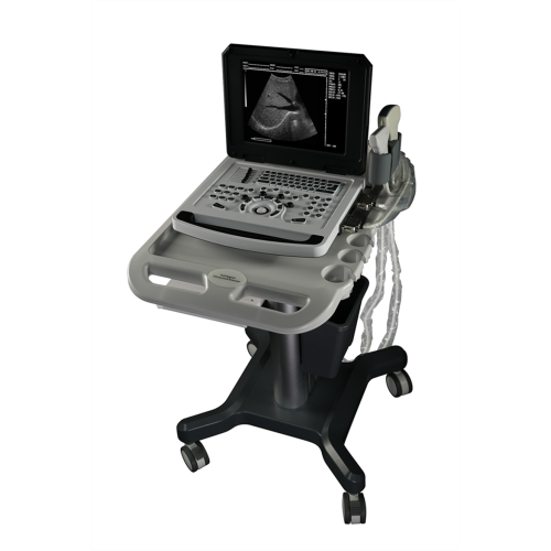 Notebook Veterinary Black and White Ultrasound Scanner