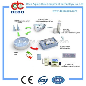 DECO Recirculating Aquaculture Aystem For Indoor Fish Farms with ISO9000
