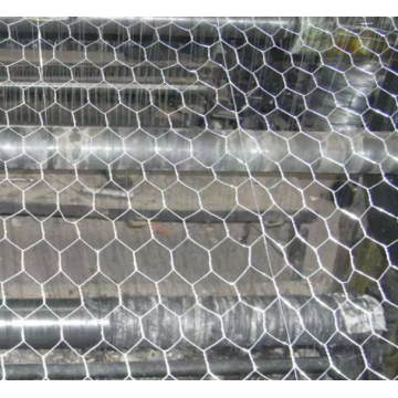 Hot Dipped Galv.Gabion Wire Mesh