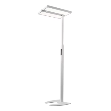 Lampu Pembacaan Perlindungan Mata Reka Bentuk Minimalis: Cahaya Lantai LED untuk Ruang Tamu