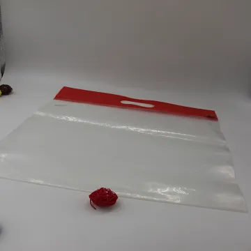 Clear tote ziplcok bag for documents