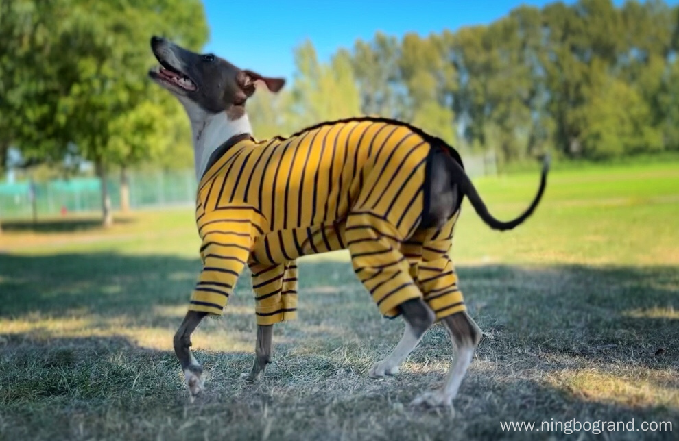 Fully Covered Classic Design Puppy Sweater