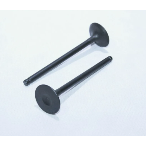 Intake Valve Repair Kit